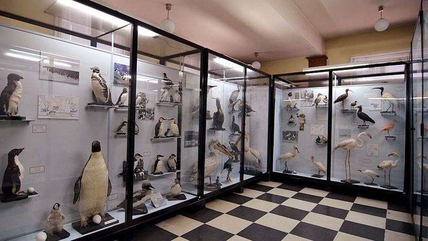 Natural Science Museums