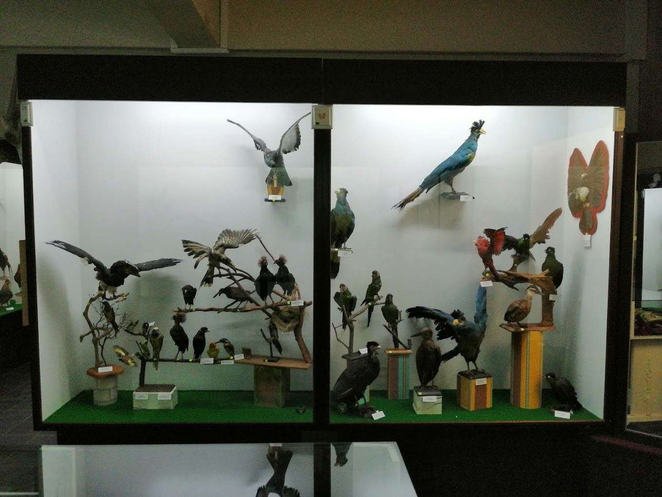 Natural Science Museums