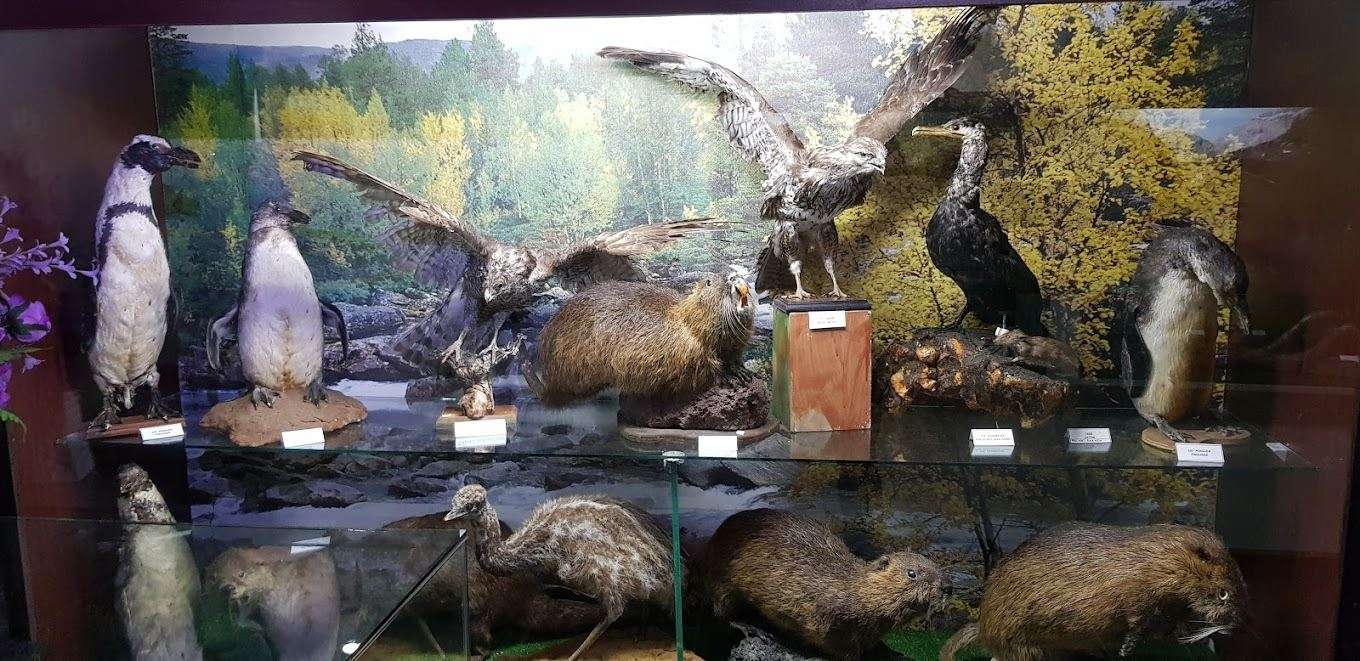 Natural Science Museums