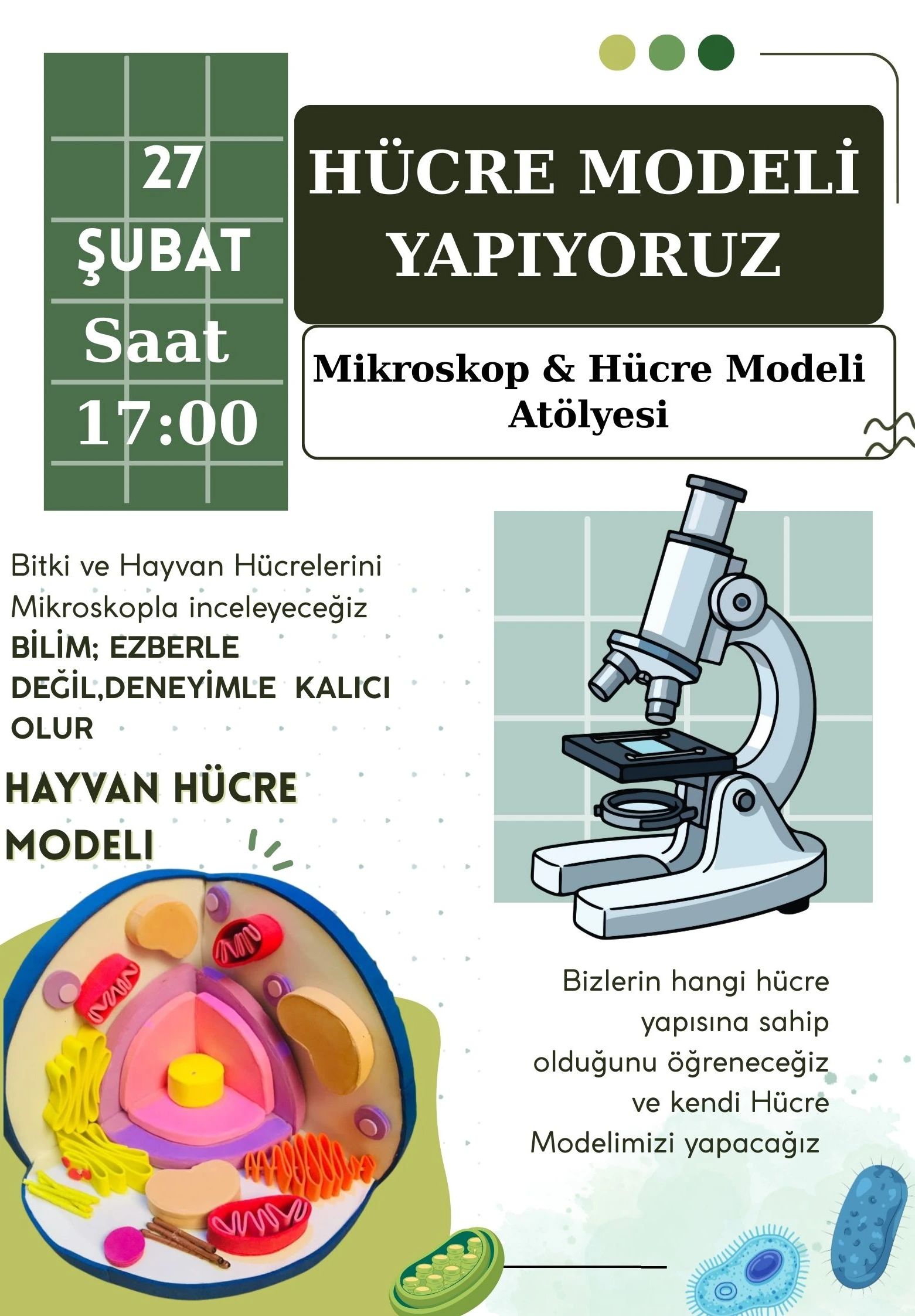Mikroskop ve Hücre modeli Atölyesi