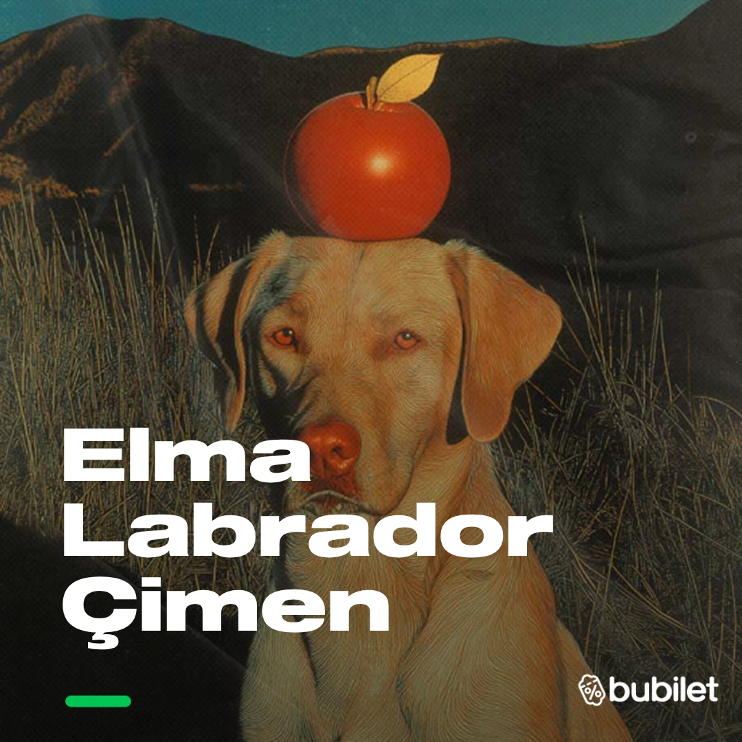 Elma Labrador Çimen