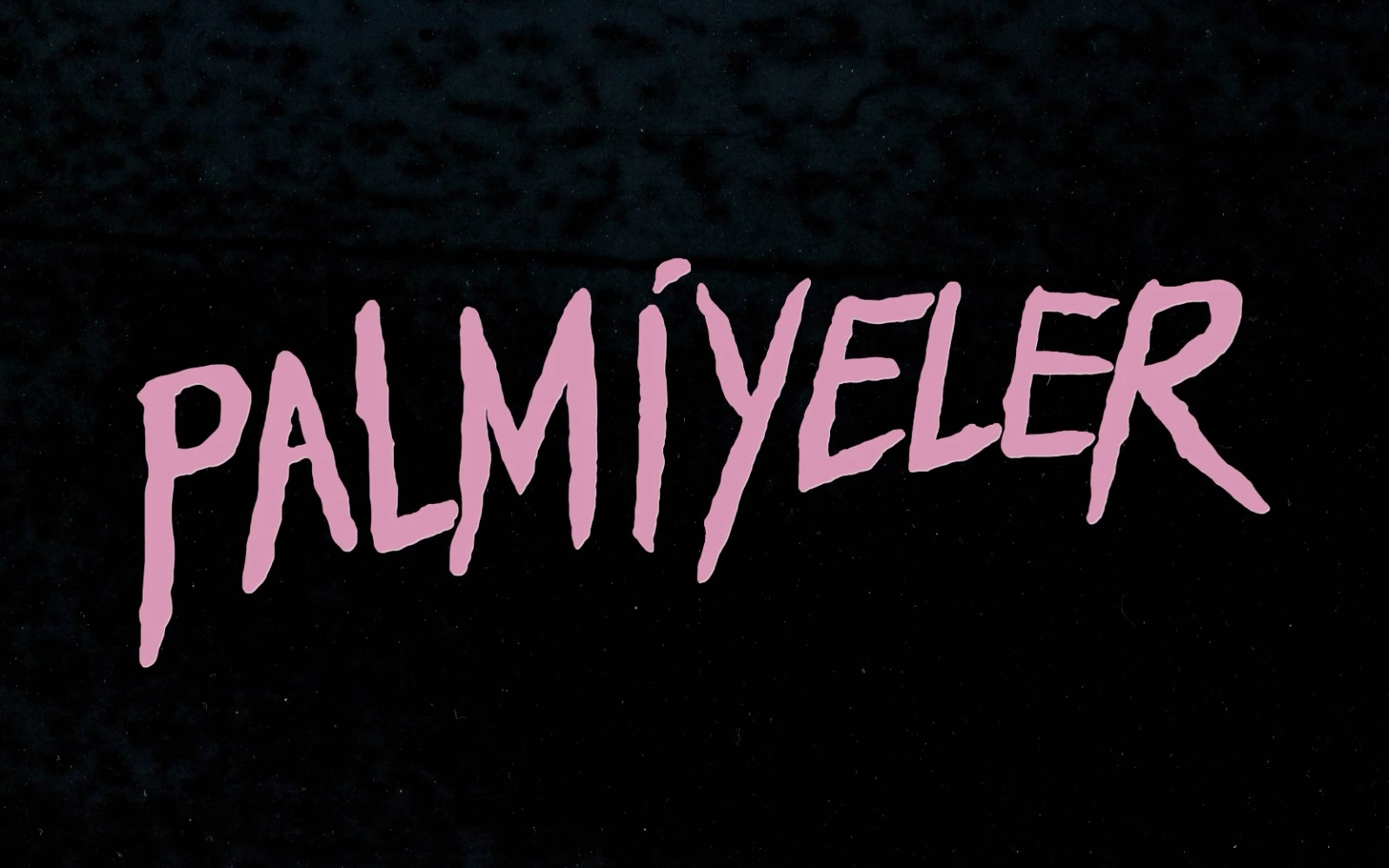 Palmiyeler Konseri