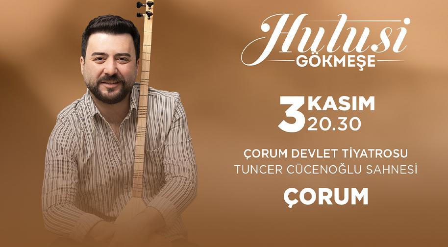 Hulusi Gökmeşe