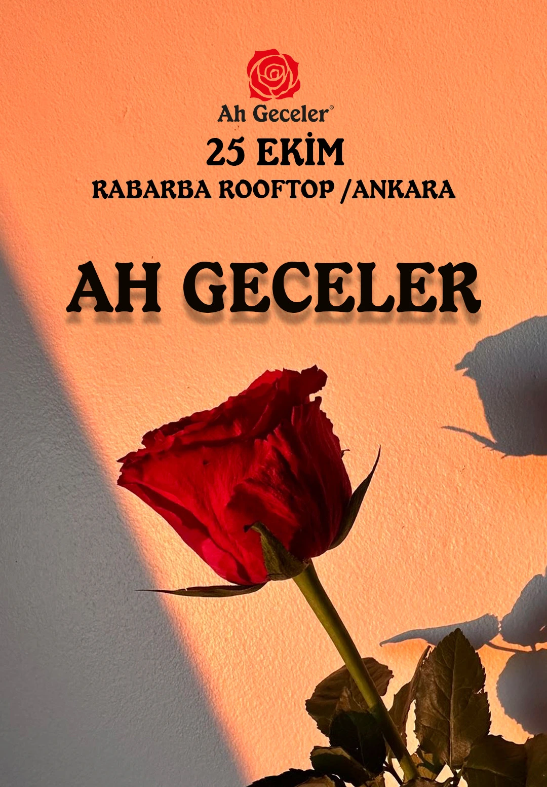 Ah Geceler