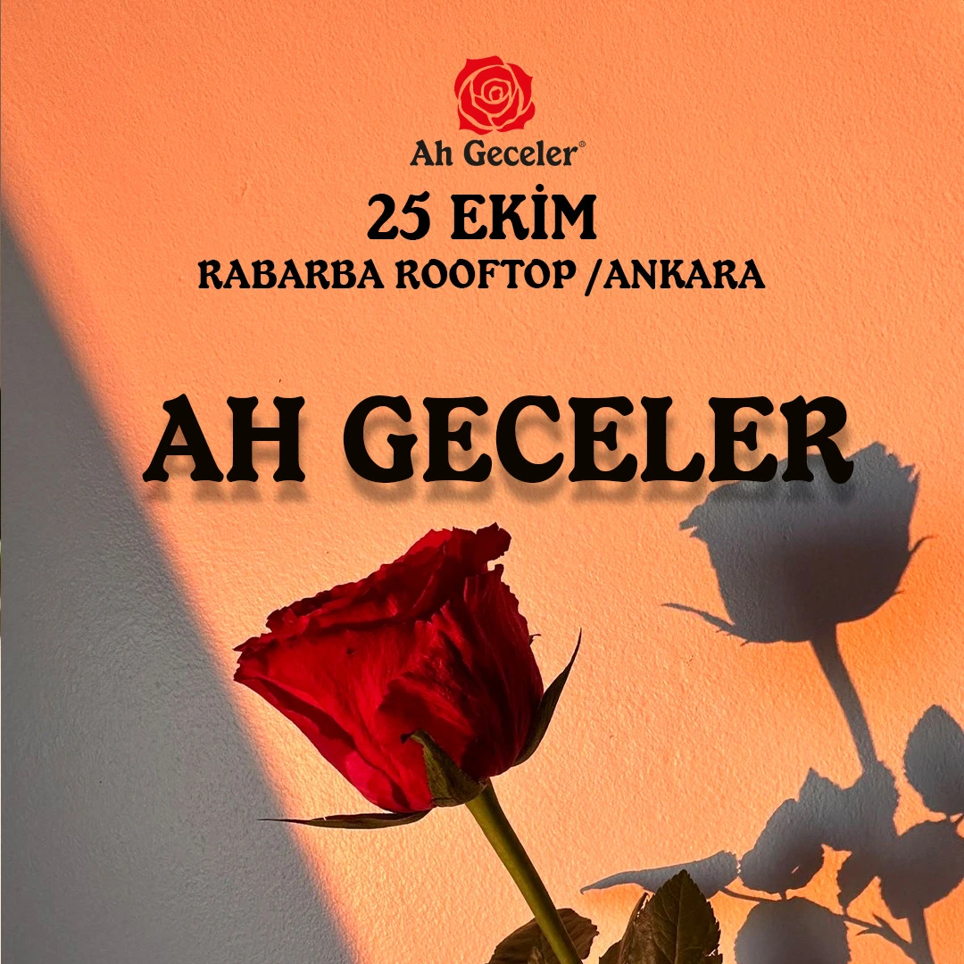 Ah Geceler