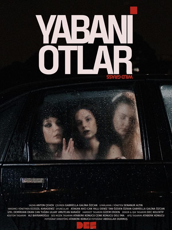 Yabani Otlar