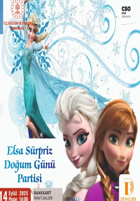 Elsa Sürpriz Doğum Günü Partisi