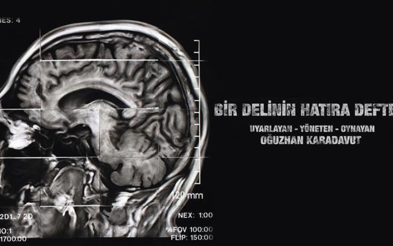 Bir Delinin Hatıra Defteri