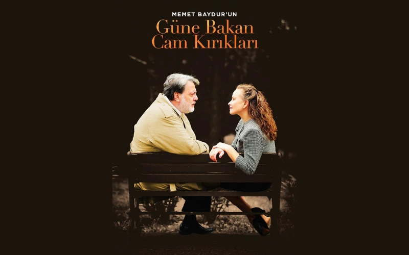 Güne Bakan Cam Kırıkları