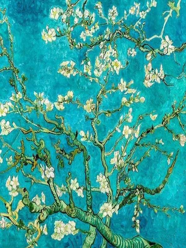 Badem Çiçekleri (Resim)